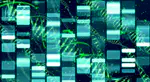 Transcriptomic analysis of model systems